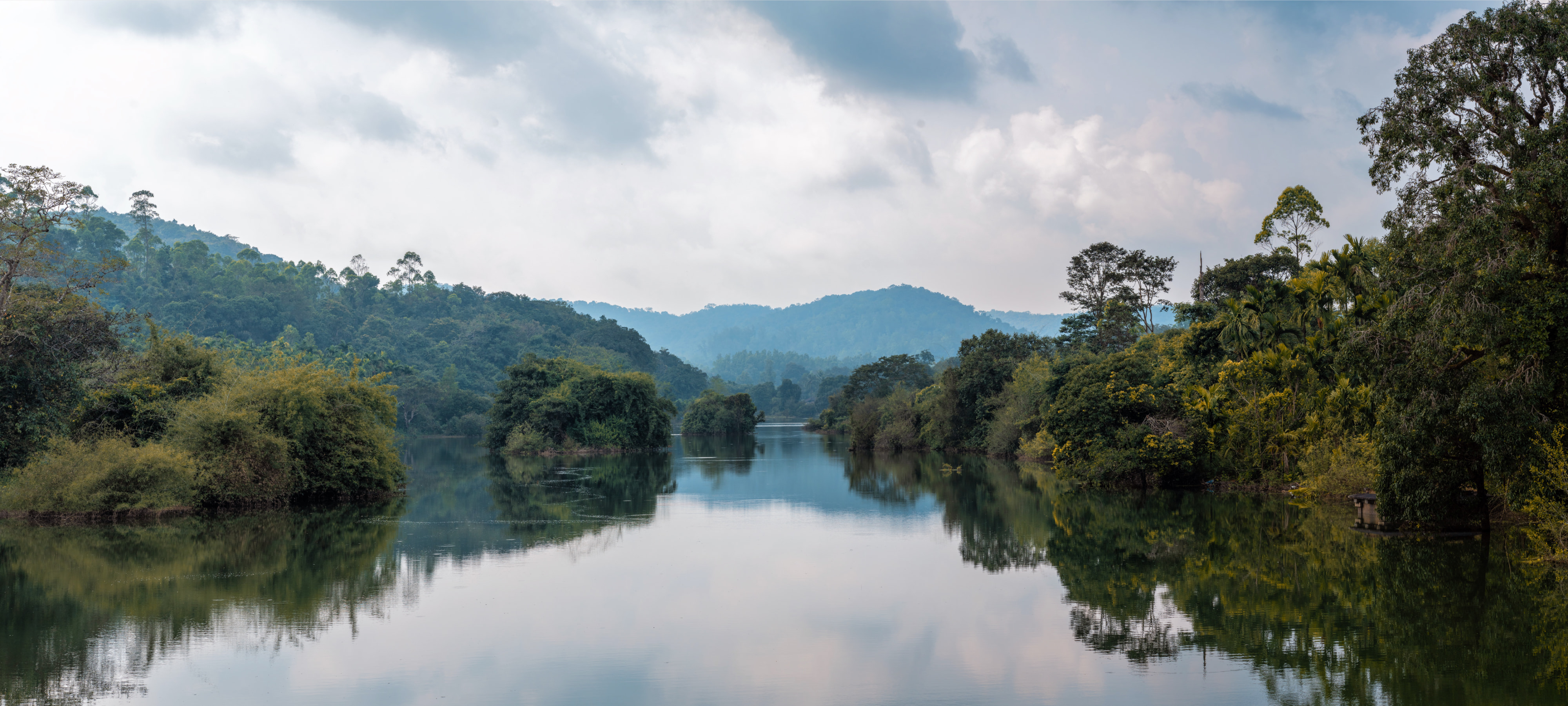 A landscape scene, a calm river reflecting the thick vegetation, trees, mountains, and cloudy skies. Misty mountains in the distance.